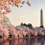 Hyatt Place Washington Dc/White House 